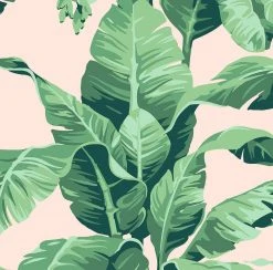 Lulu And Georgia Pacifico Palm Peel + Stick Wallpaper By Nathan Turner