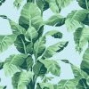 Lulu And Georgia Pacifico Palm Wallpaper By Nathan Turner, Sky