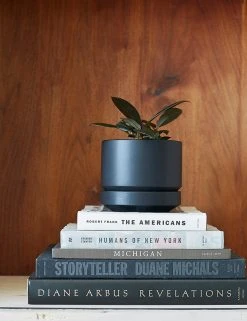 Lulu And Georgia LBE Design Ceramic Indoor / Outdoor Planter 30 Lulu And Georgia LBE Design Ceramic Indoor / Outdoor Planter