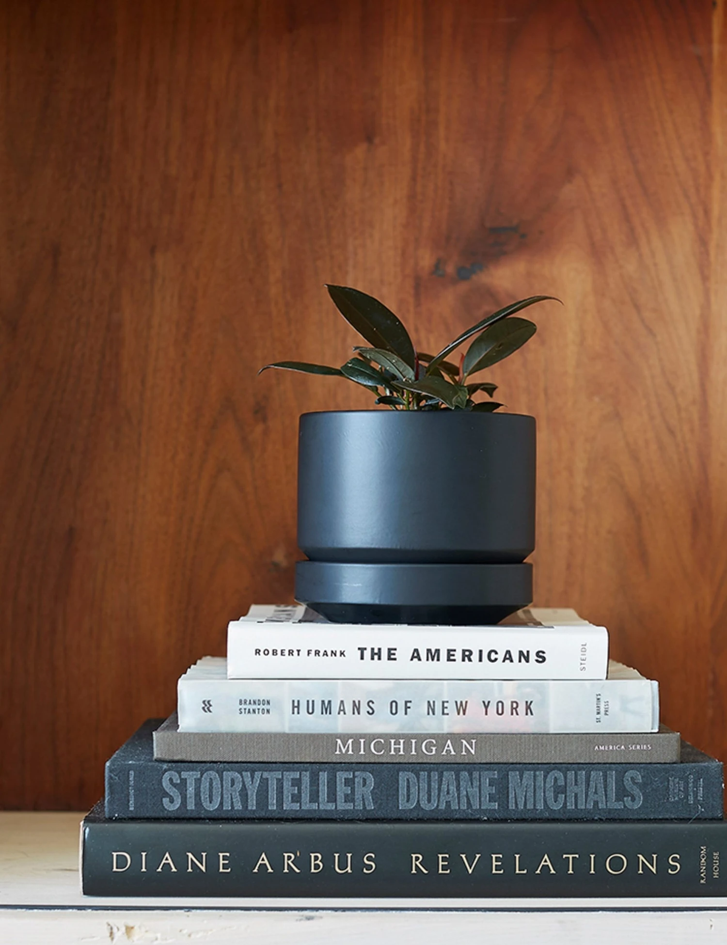 Lulu And Georgia LBE Design Ceramic Indoor / Outdoor Planter 12 Lulu And Georgia LBE Design Ceramic Indoor / Outdoor Planter