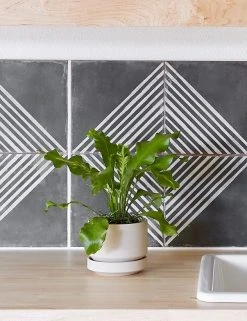 Lulu And Georgia LBE Design Ceramic Indoor / Outdoor Planter