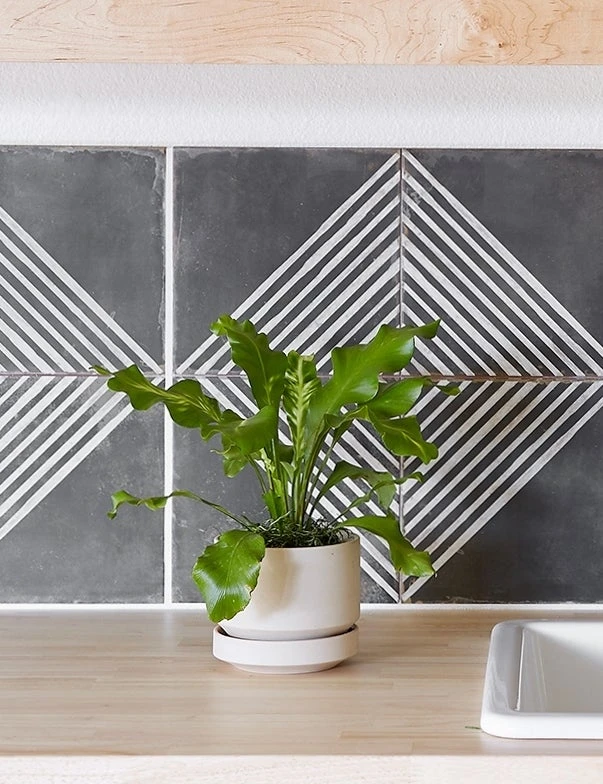 Lulu And Georgia LBE Design Ceramic Indoor / Outdoor Planter 4 Lulu And Georgia LBE Design Ceramic Indoor / Outdoor Planter