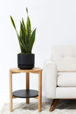 Lulu And Georgia LBE Design Ceramic Indoor / Outdoor Planter 31 Lulu And Georgia LBE Design Ceramic Indoor / Outdoor Planter