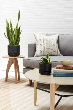 Lulu And Georgia LBE Design Ceramic Indoor / Outdoor Planter 32 Lulu And Georgia LBE Design Ceramic Indoor / Outdoor Planter