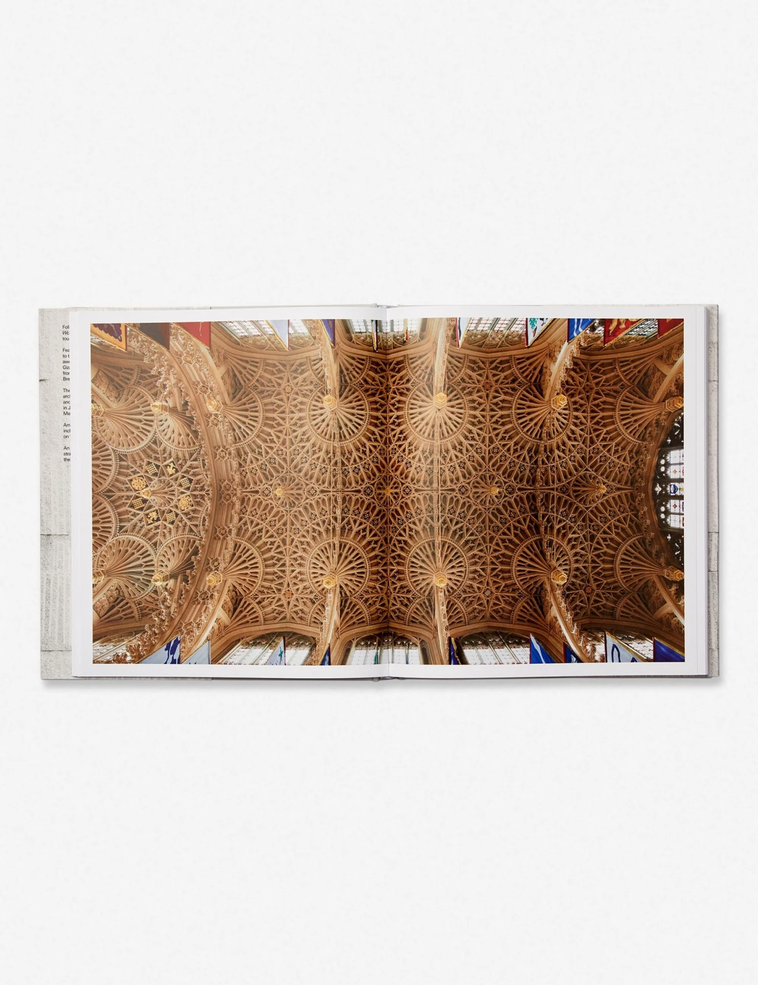 Lulu And Georgia 'Stone' Book By William Hall 6 Lulu And Georgia 'Stone' Book By William Hall