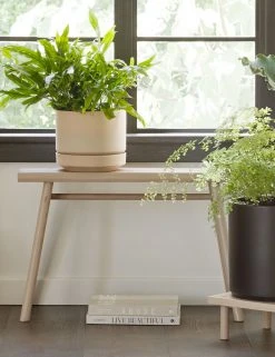 Lulu And Georgia LBE Design Ceramic Indoor / Outdoor Planter 28 Lulu And Georgia LBE Design Ceramic Indoor / Outdoor Planter